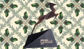 TAK - BRSEN GAZELLE 2024