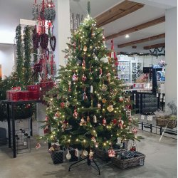 JULETR MRK GRN 270 CM M/720 LED