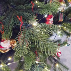 JULETR MRK GRN 270 CM M/720 LED