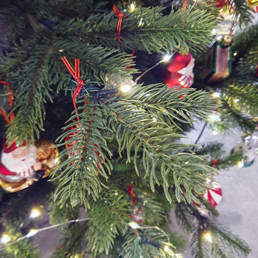 JULETR MRK GRN 270 CM M/720 LED