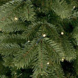 JULETR MRK GRN 270 CM M/720 LED