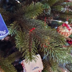 JULETR MRK GRN 250 CM U/LED