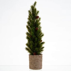 JULETR THUJA 40 CM