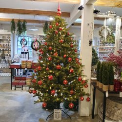 JULETR LYS GRN 220 CM M/620 LED 