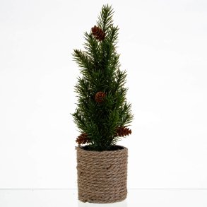 JULETR THUJA 28 CM