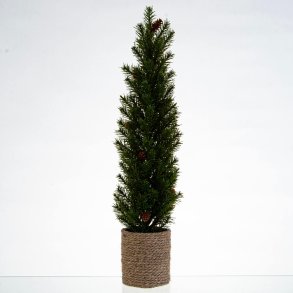 JULETR THUJA 49 CM