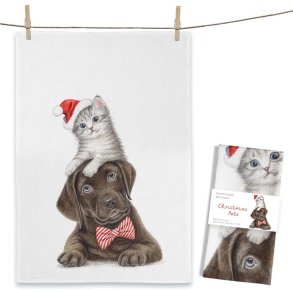 VISKESTYKKE KAT OG HUND