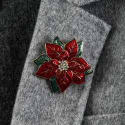 BROCHE 5 CM JULESTJERNE